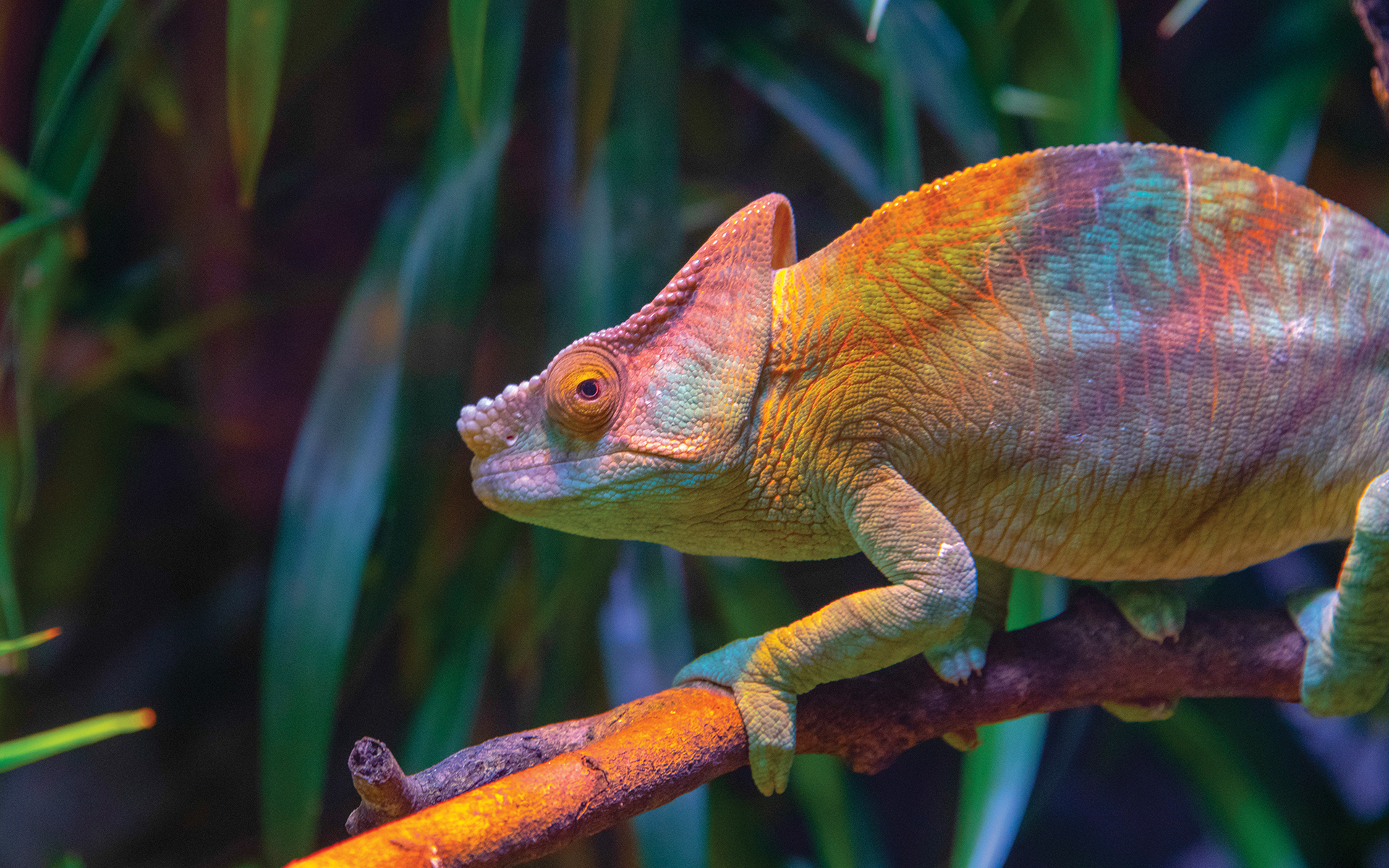 CIB ESG Talentum Total Return Alapok Részalapja euróban és forintban